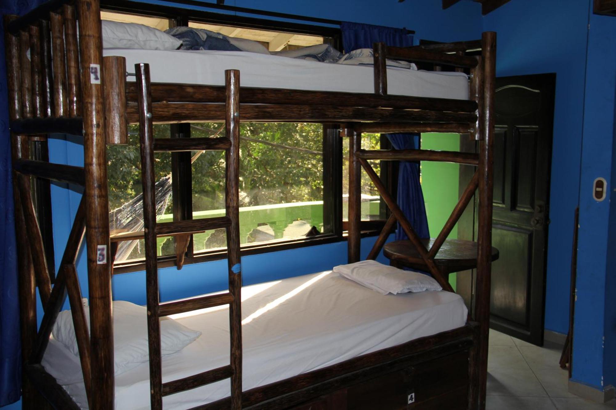 Arcadia Hostel Medellín Oda fotoğraf