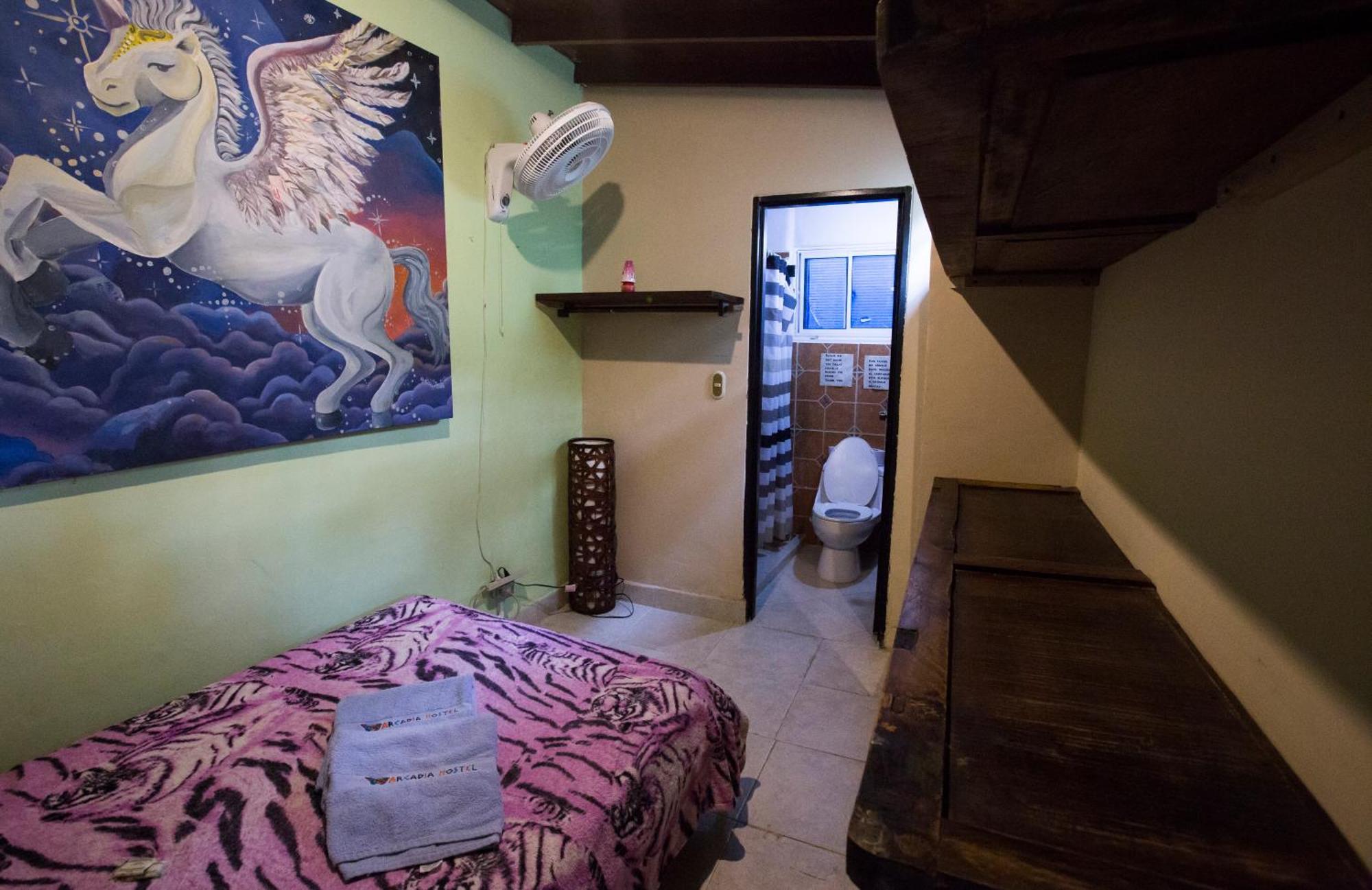 Arcadia Hostel Medellín Oda fotoğraf