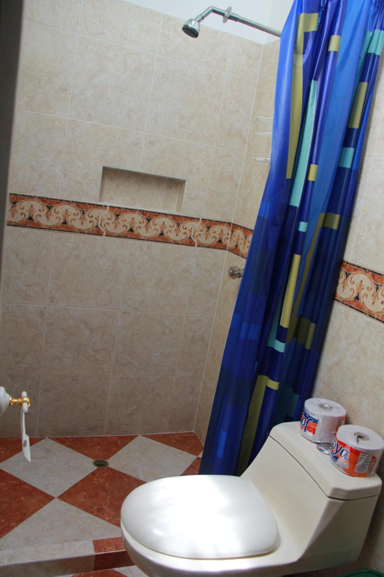 Arcadia Hostel Medellín Oda fotoğraf