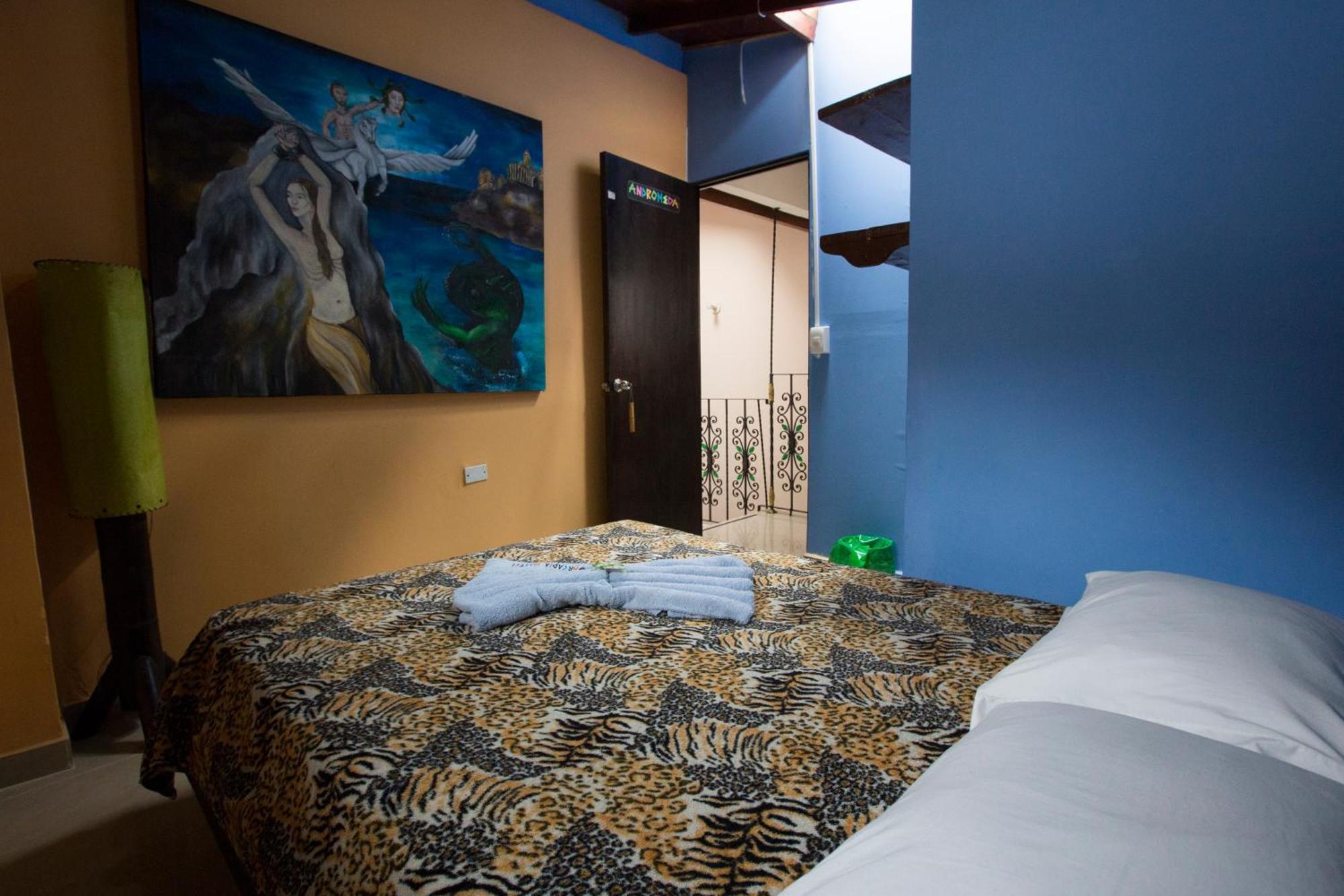 Arcadia Hostel Medellín Oda fotoğraf