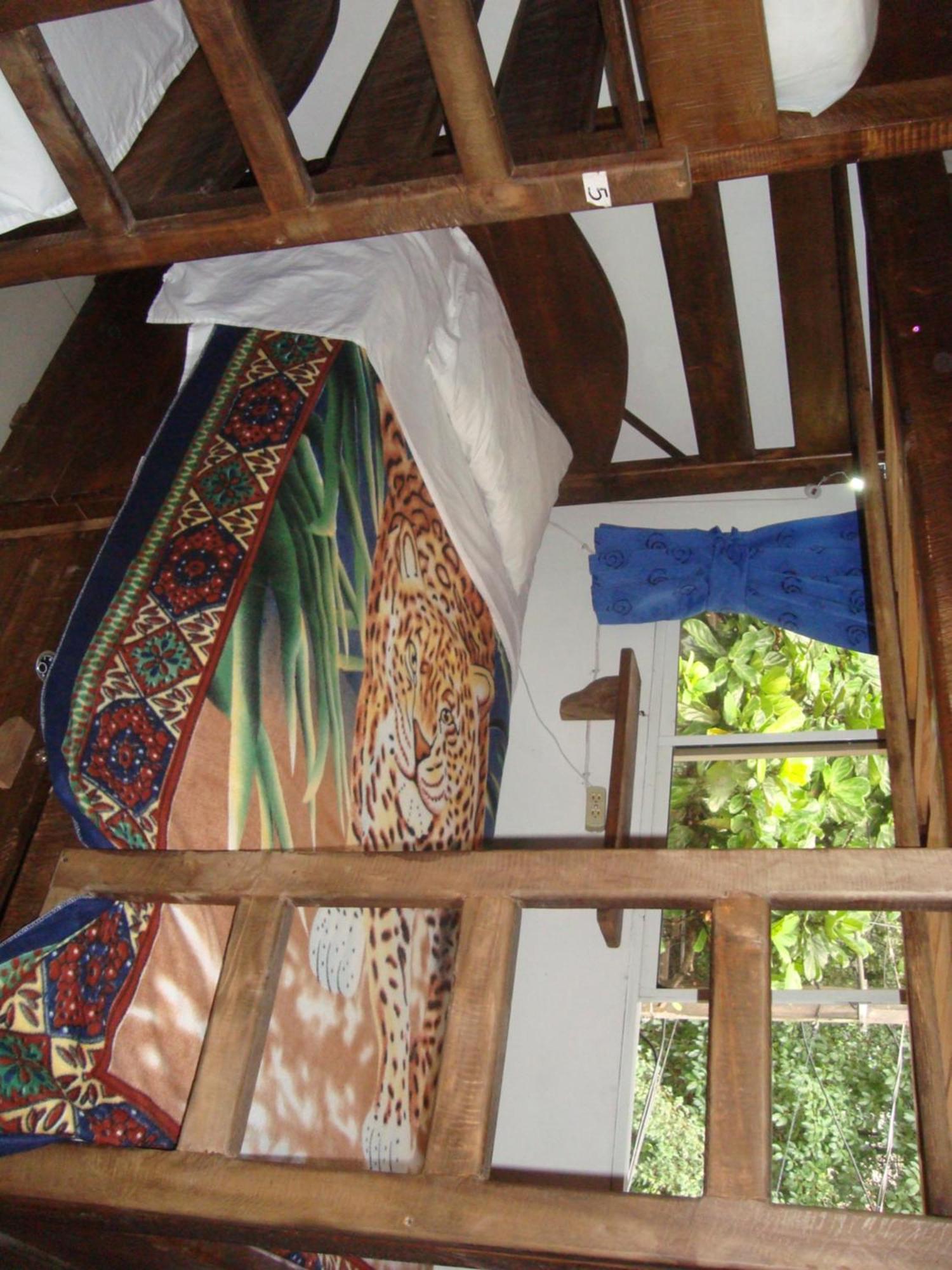 Arcadia Hostel Medellín Oda fotoğraf