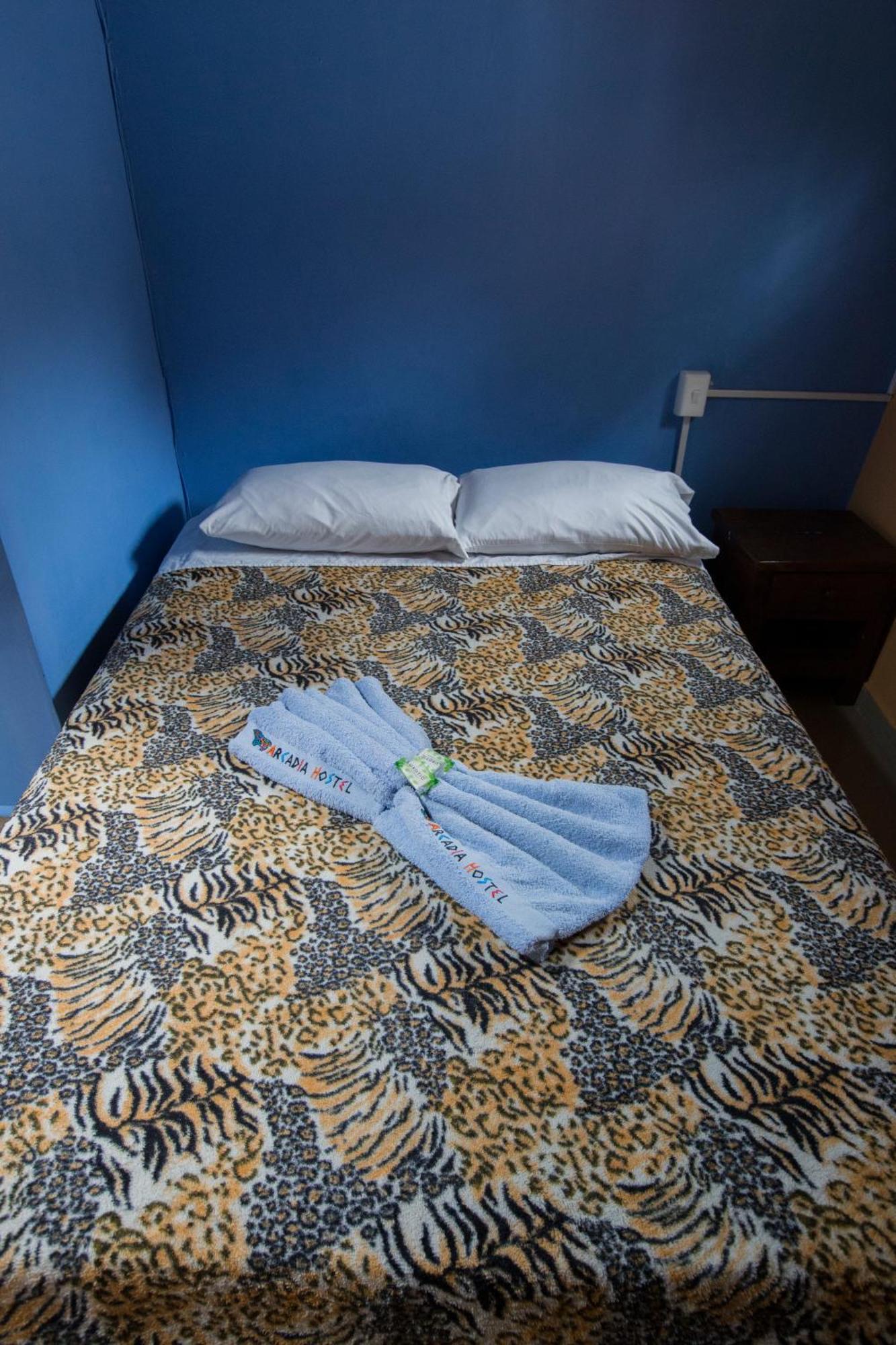 Arcadia Hostel Medellín Oda fotoğraf