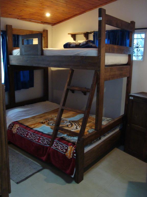 Arcadia Hostel Medellín Oda fotoğraf